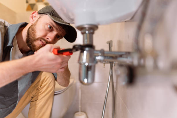 Best Clogged Drain Plumber  in Parksdale, CA